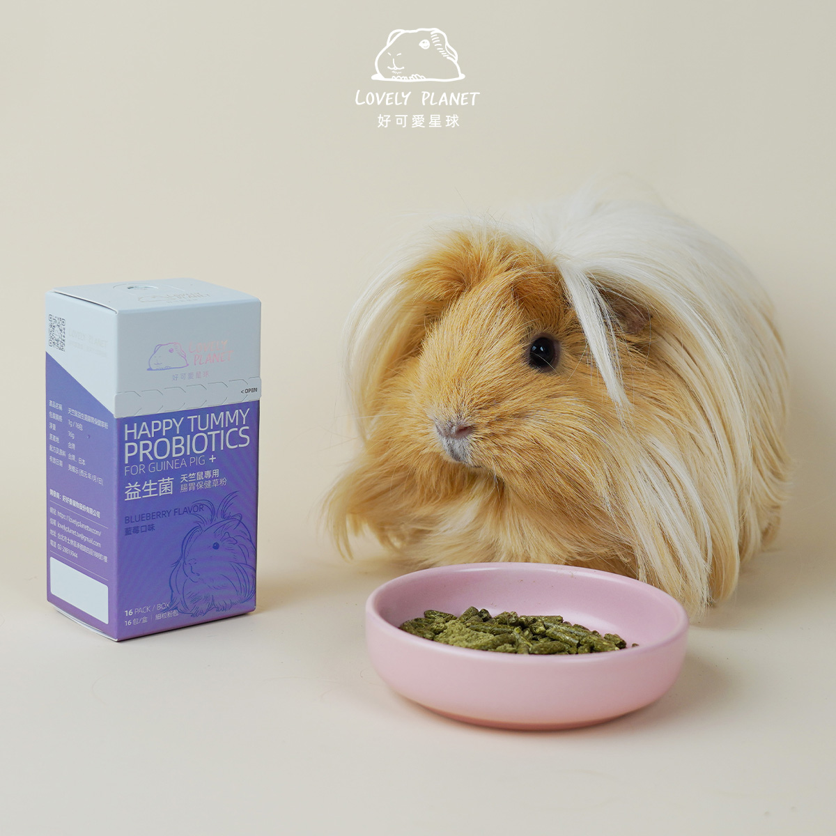 天竺鼠食用調和草粉實拍